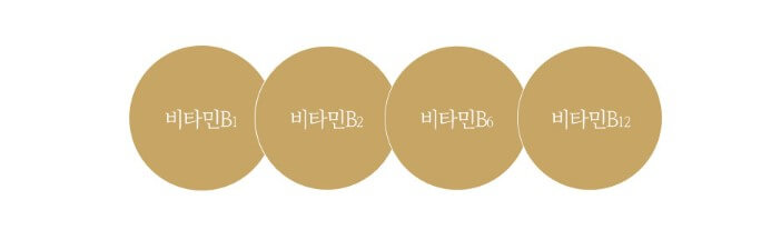 비타민 B군