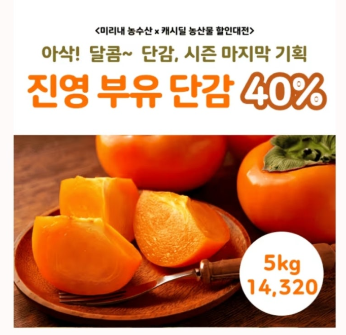 진영 부유 단감 5kg 농할쿠폰 20% 역대급 할인 캐시워크 1월 27일 정답