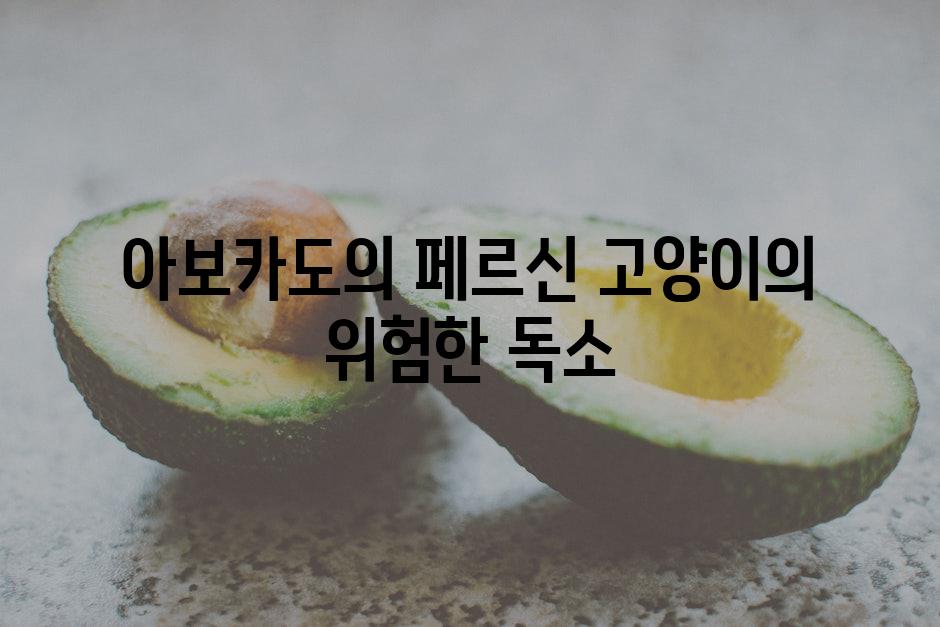 아보카도의 페르신 고양이의 위험한 독소