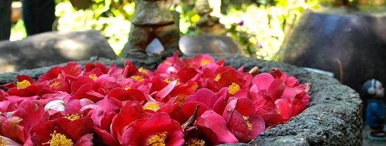 여수 가볼만한곳 베스트10