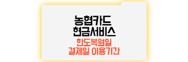 농협카드 현금서비스 한도복원일