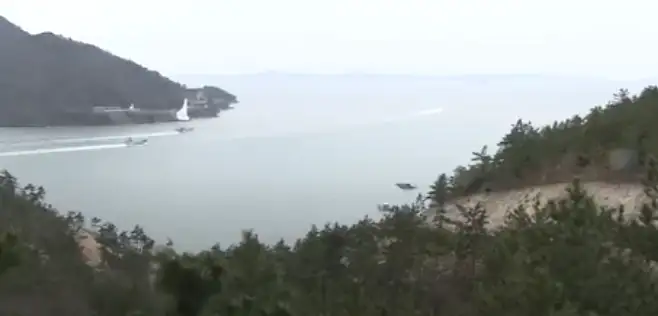 달리도