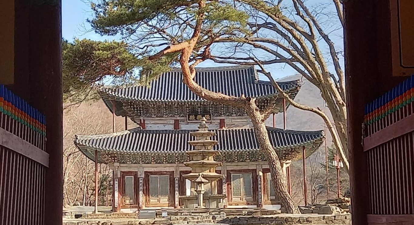 낙산사 템플스테이 가격 예약 바로가기