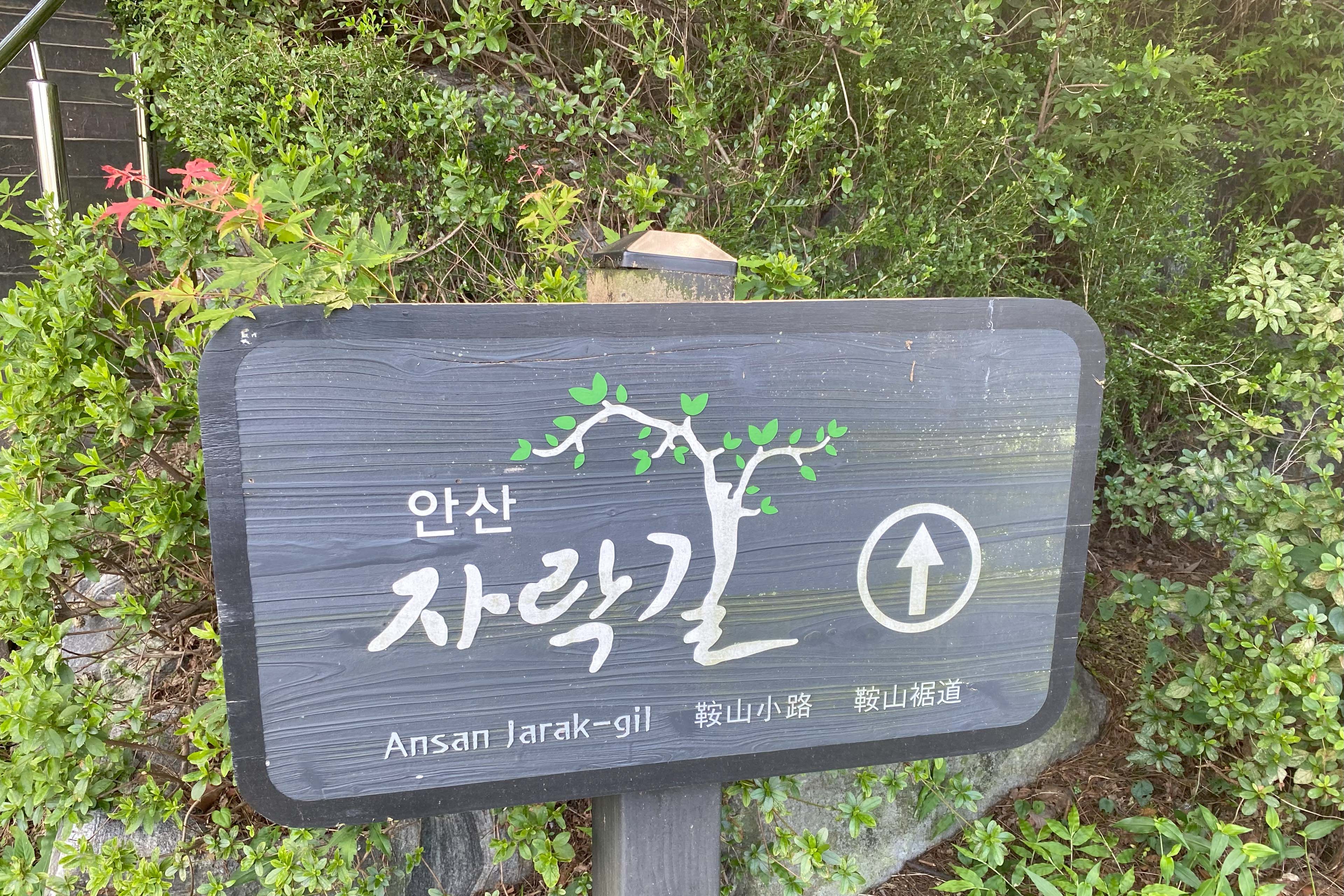 Alt 속성 문제 해결 설명 이미지