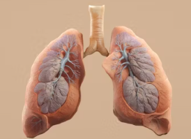 천식 치료법 진단 기준 합병증