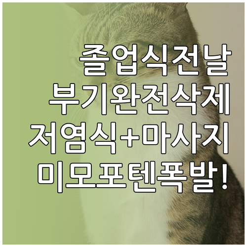 졸업식 전날 붓기 예방을 위한 저염 ..