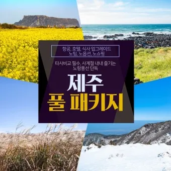 제주 여행 패키지 vs 자유여행 장단점 비교 및 추천_13