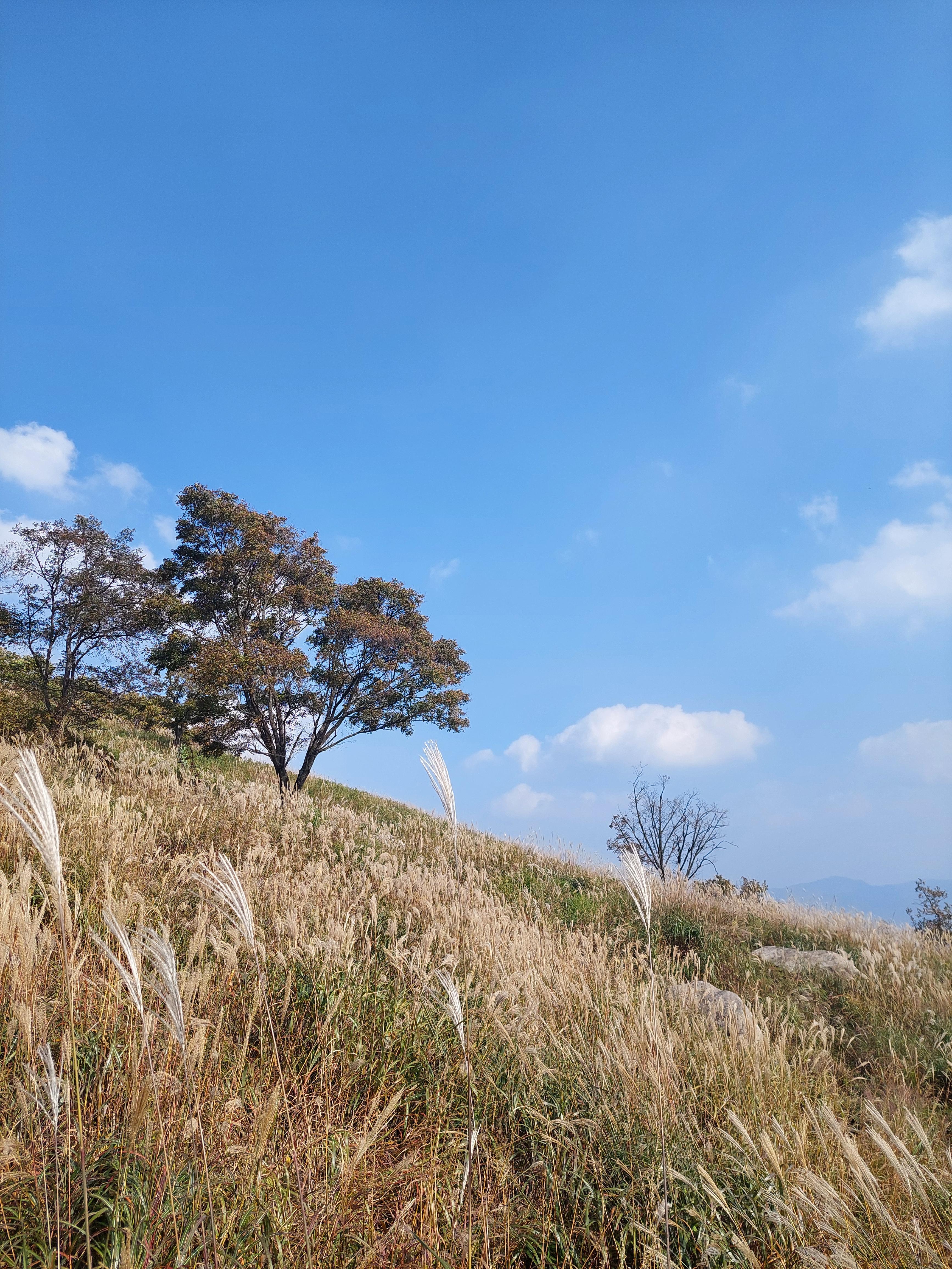 명성산