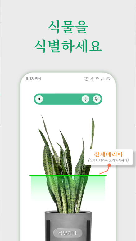 식물이름 찾기 앱 무료 다운로드