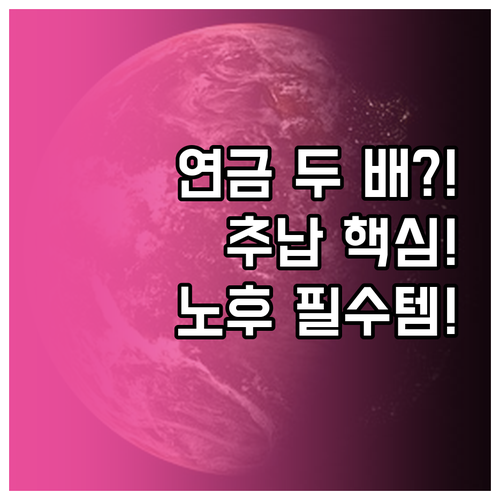 노후 설계를 위한 국민연금 추납의 경..