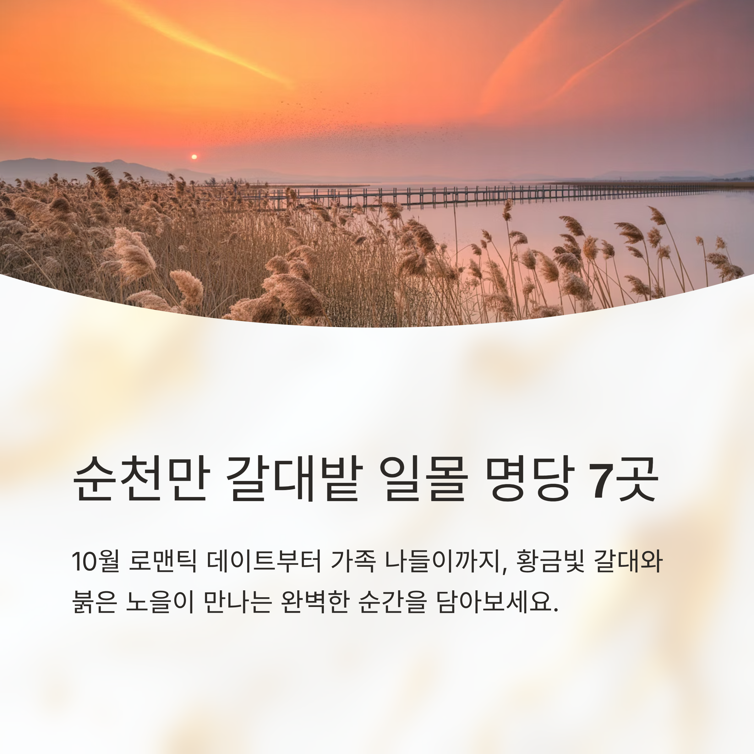 순천만 갈대밭 일몰 명당 7곳, 10월 로맨틱 코스 + 주변 맛집 추천