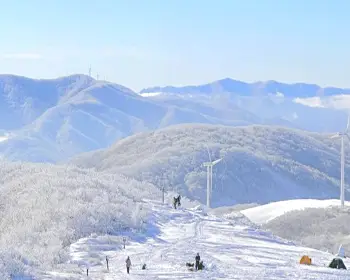 선자령 실시간 cctv, 날씨_15