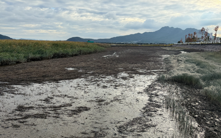 강진만 생태공원