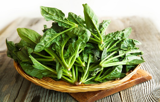 눈에 좋은 음식-시금치