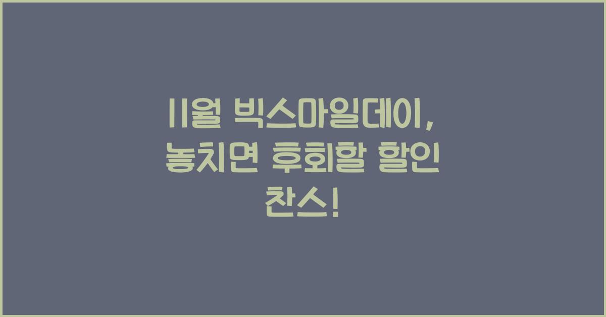 11월 빅스마일데이