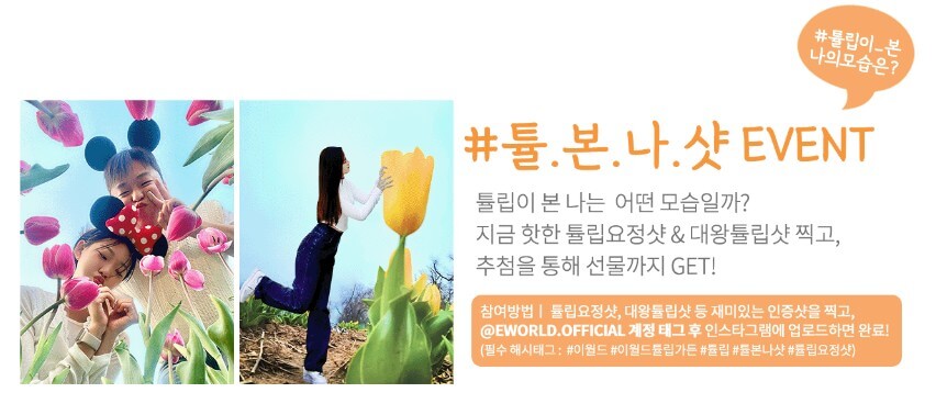 2025 대구 이월드 '튤립 트래블' 축제! : 네덜란드 감성 그대로 즐기는 봄 꽃 축제!