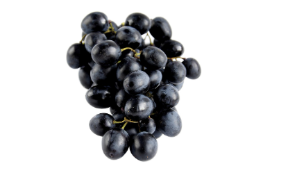 시금치 관련 사진