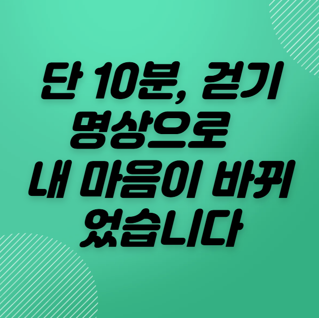 하루 10분 ‘명상 걷기’ 효과 후기