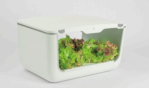 수경재배기-이나프