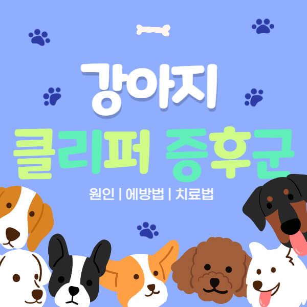강아지_클리퍼_증후군_썸네일