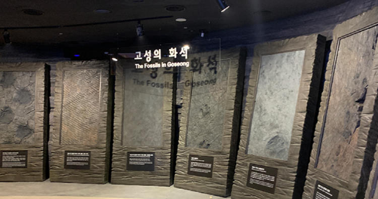 고성 공룡엑스포