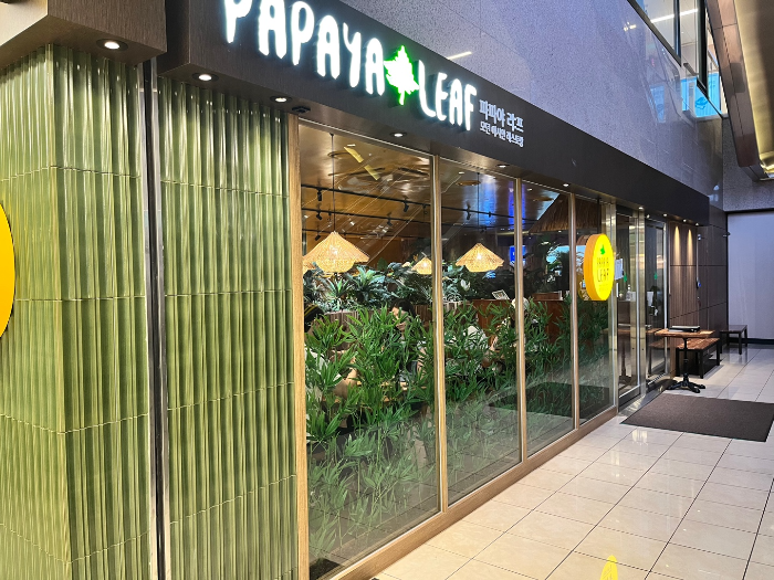 파파야리프 외부 모습