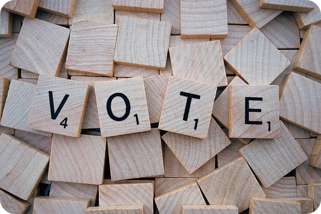 대통령 후보 선거비용과 등록비