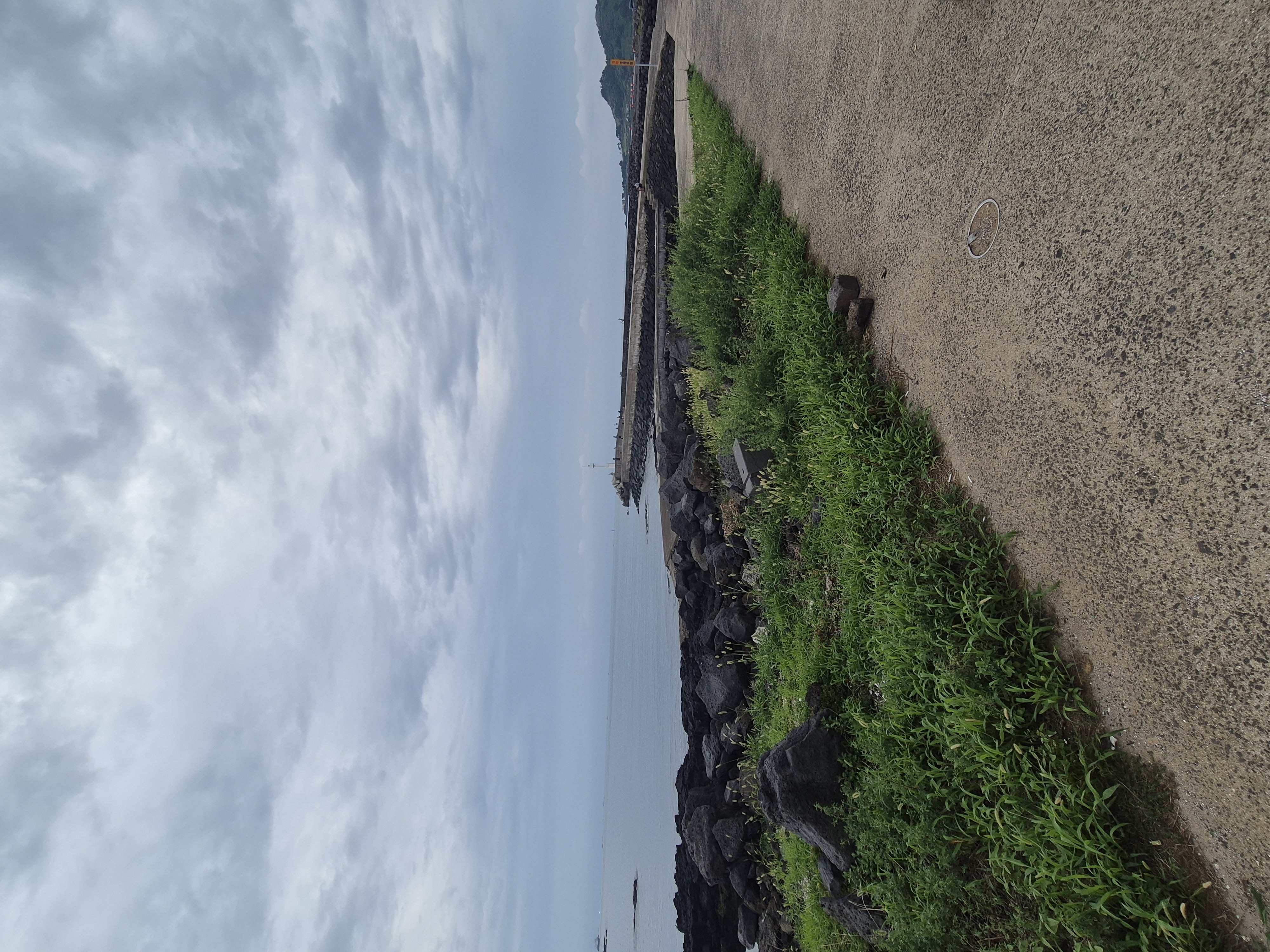 제주도 맛집 추천 딱새우 해물 찜 최고 ! - 금능피어22