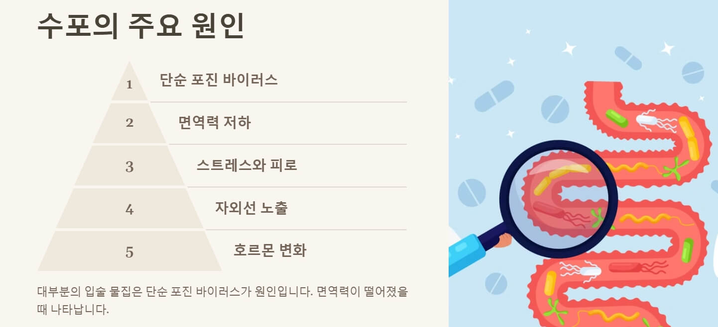 입술 물집 빨리 가라앉히는 방법