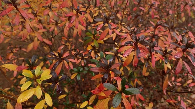 피의자 석방 후 ‘이중 소환’ 시 법적 제한 요건