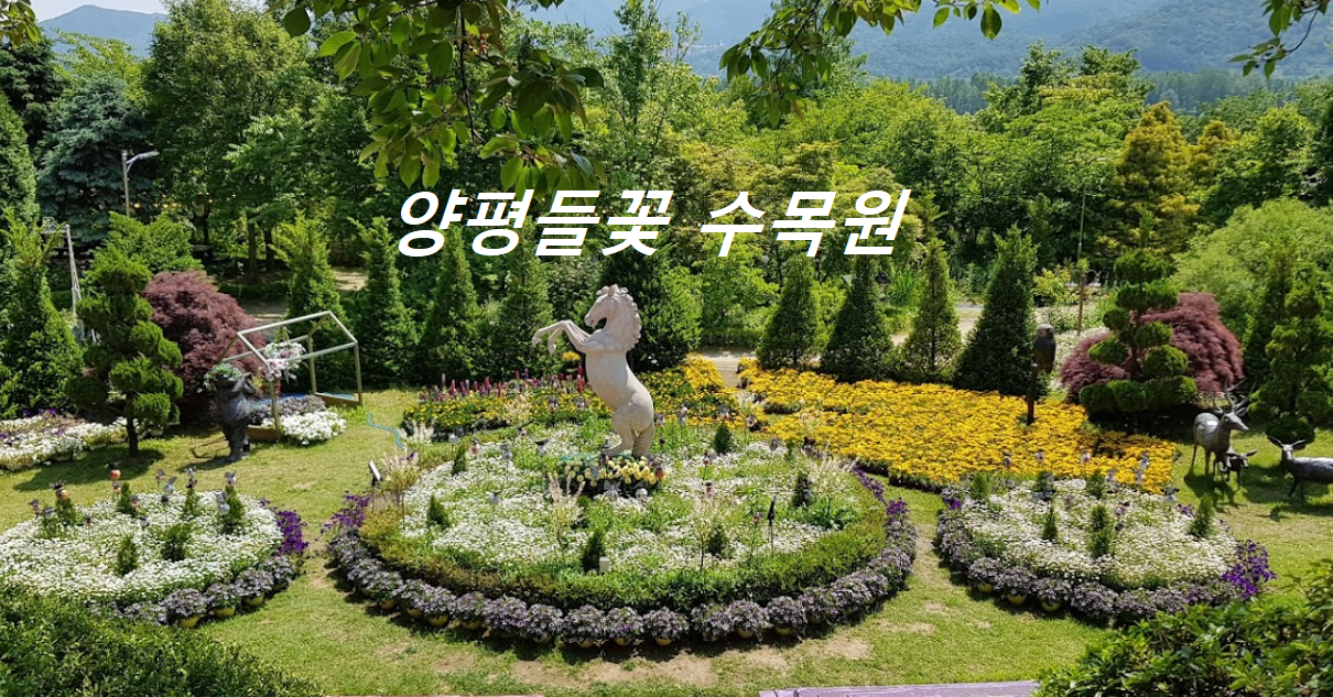 양평들꽃수목원 대표사진