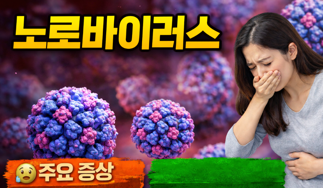 노로바이러스 증상