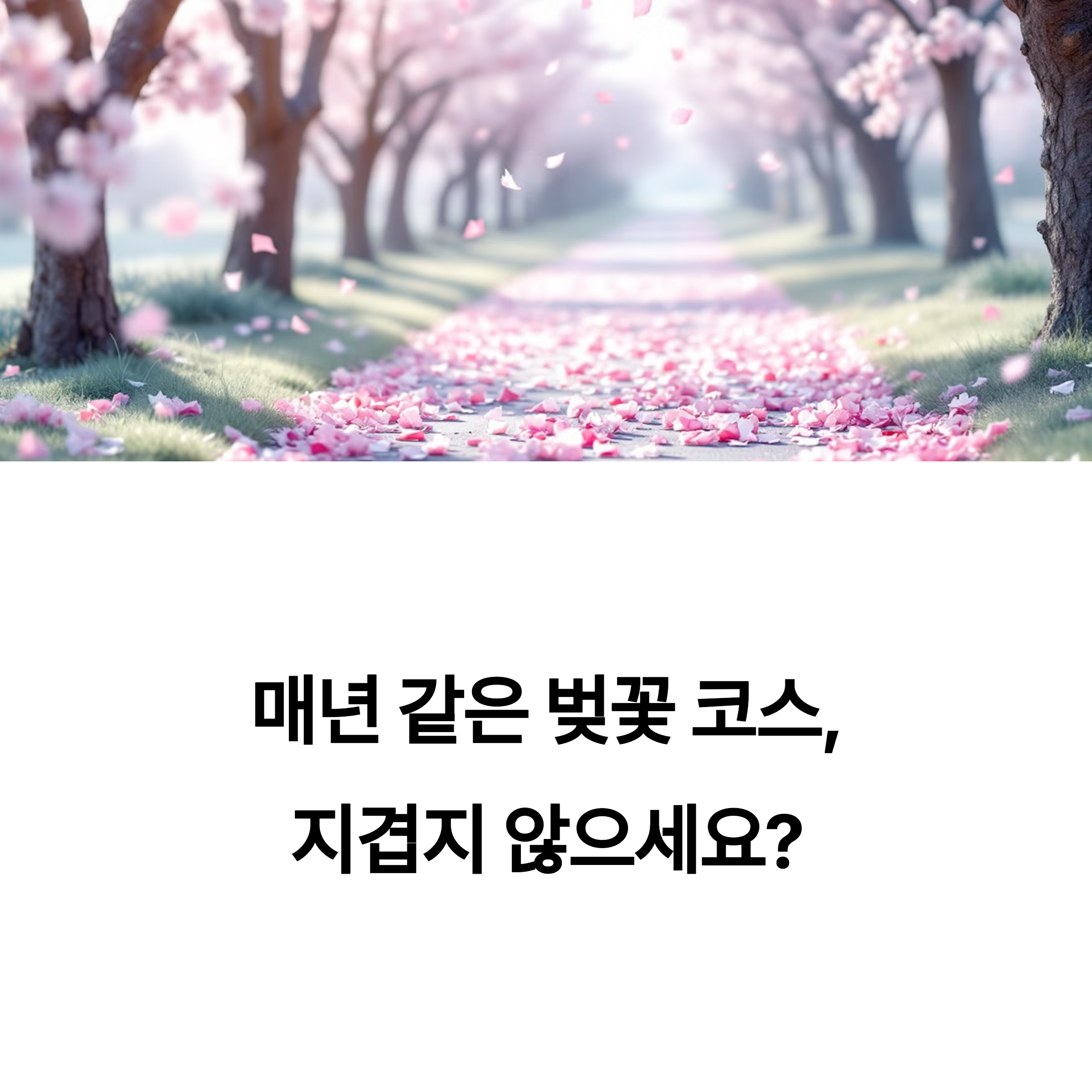 2025년 한강 벚꽃 명소 이 곳은 어디?