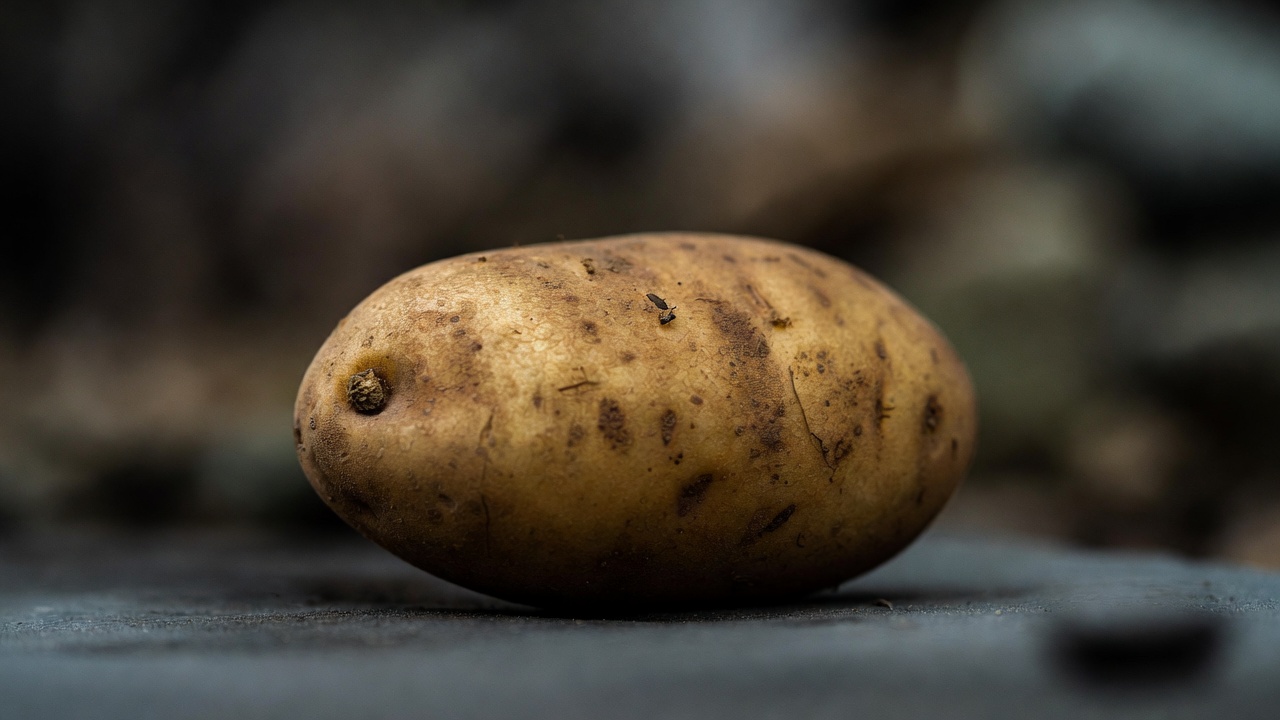 췌장에 좋은 음식 10가지 추천