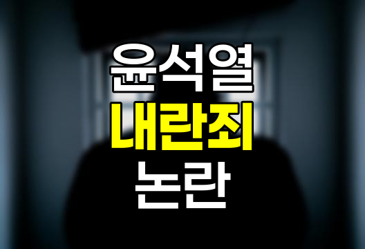 윤석열 대통령 비상계엄, 내란죄 성립 여부 논란