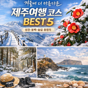 제주 겨울 여행 명소 추천, 설경·동백·숲길 총정리