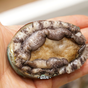 전복 손질하는 법