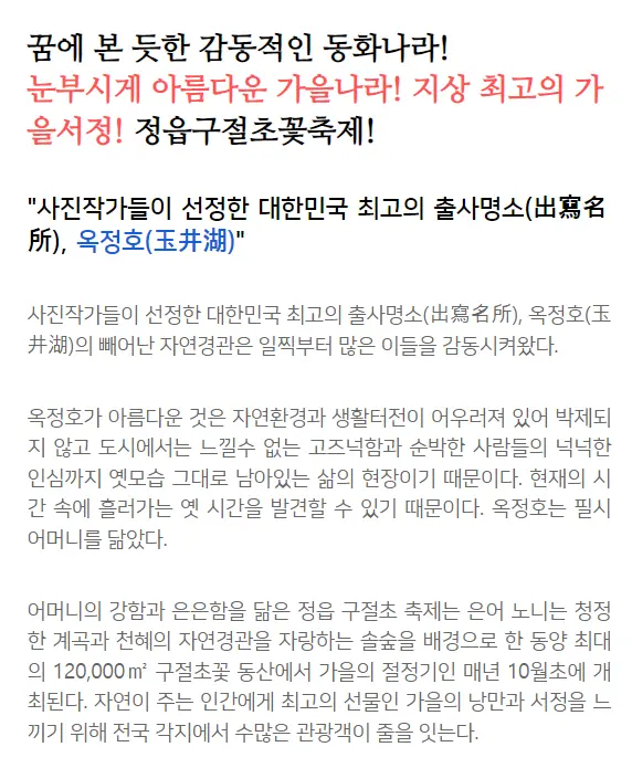 2024 정읍 구절초 꽃축제 일정 출렁다리