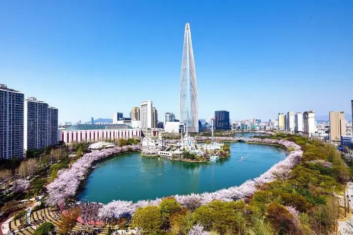 석촌호수 벚꽃 축제 