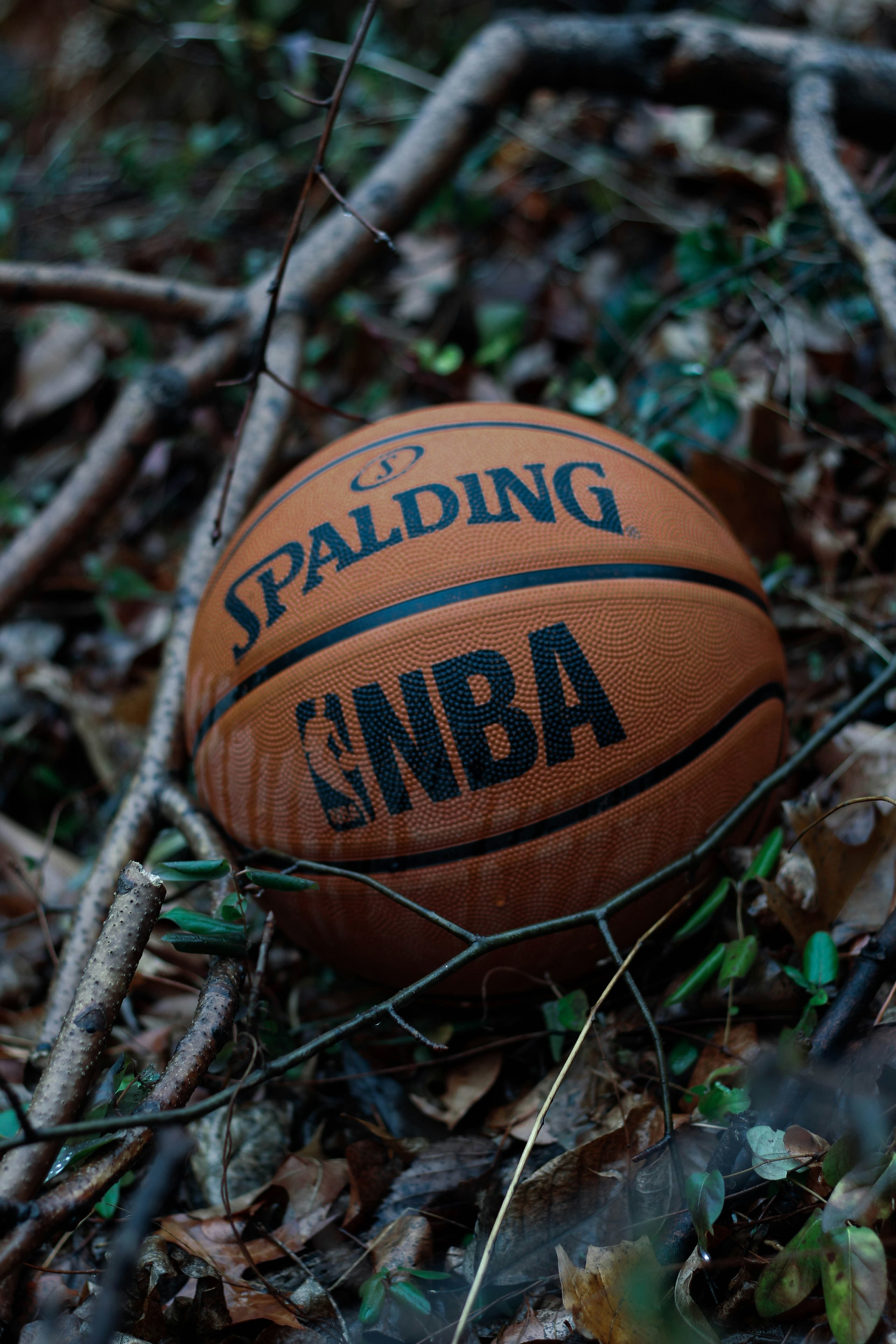 NBA의 환경 운동: 그린 캠페인의 과거와 현재