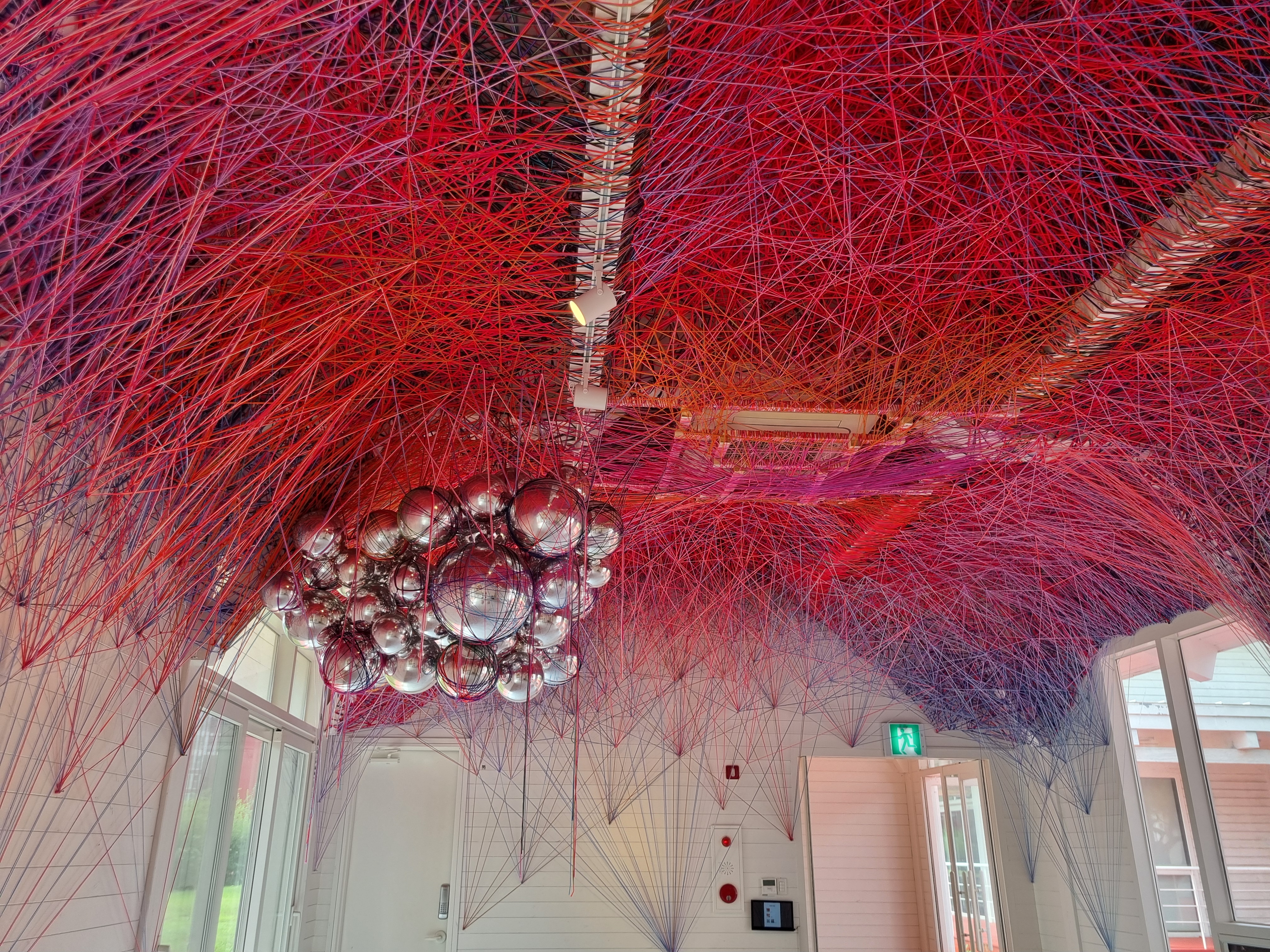 젊은달 와이파크