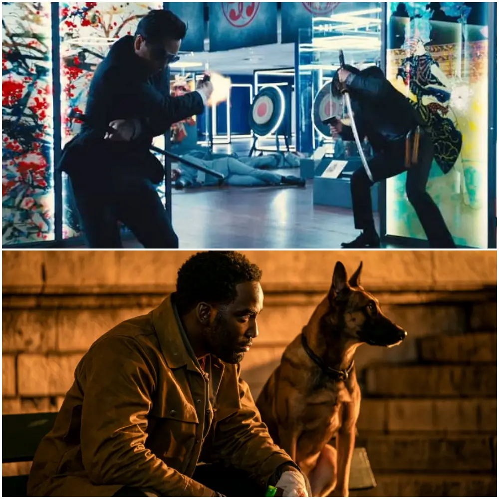 견자단과 셰미어 앤더슨의 액션