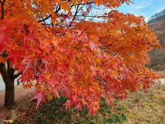 단풍구경 전국 명산 50대 이상 안전한 등산로 추천_9
