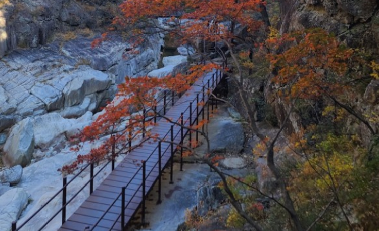 오대산 등산코스