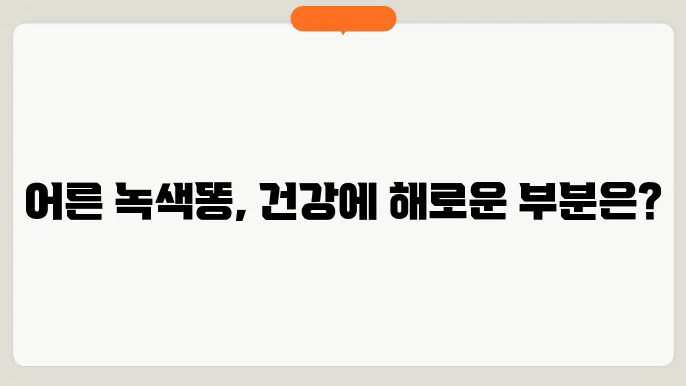 어른 녹색똥 어디가 안좋은거예요?