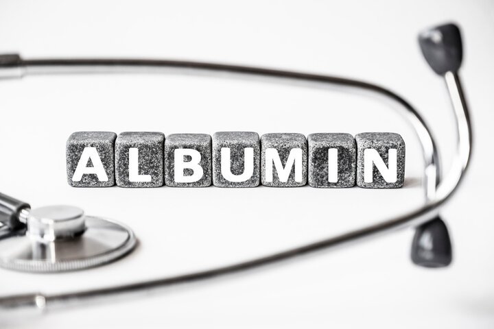 알부민 효능 및 부작용 알아보기