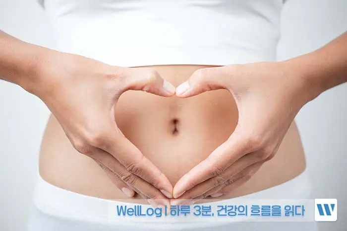 프롤린 유산균 효능