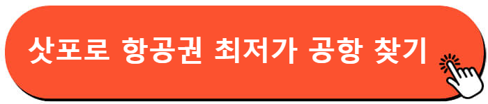 삿포로 항공권