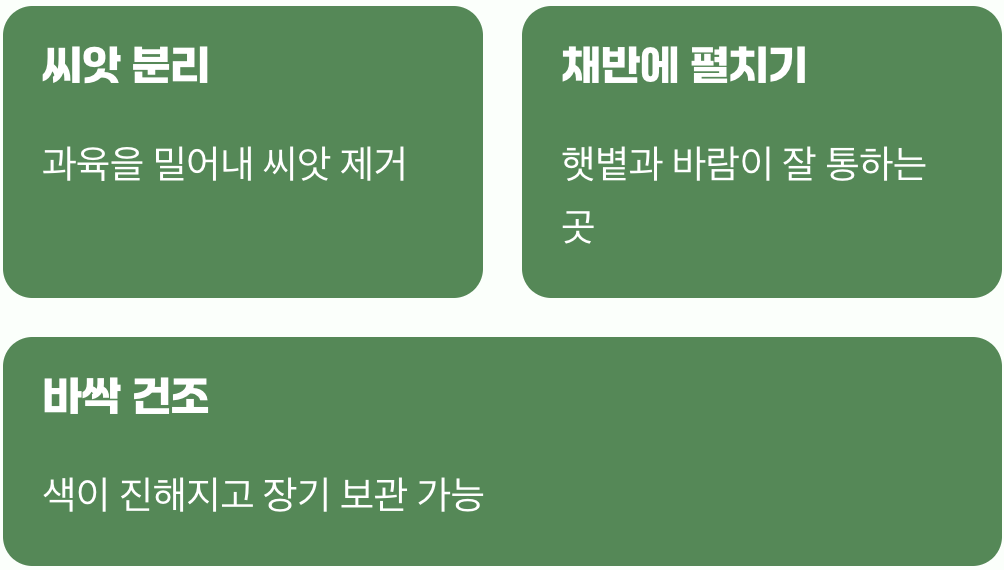늦가을의 햇살, 최고의 건조기
