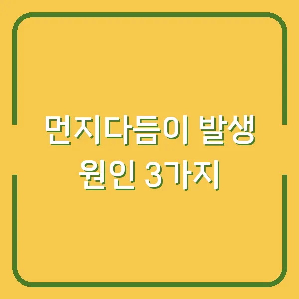 먼지다듬이 발생 원인 3가지